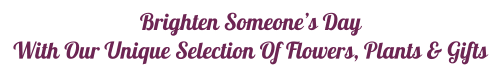 Brighten Someone’s Day  With Our Unique Selection Of Flowers, Plants & Gifts